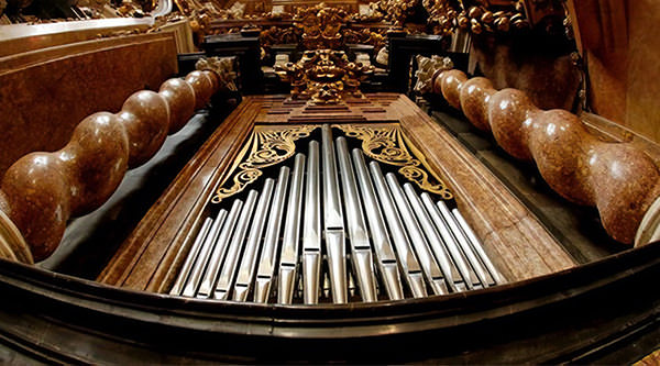 L’orgue de la Catedral